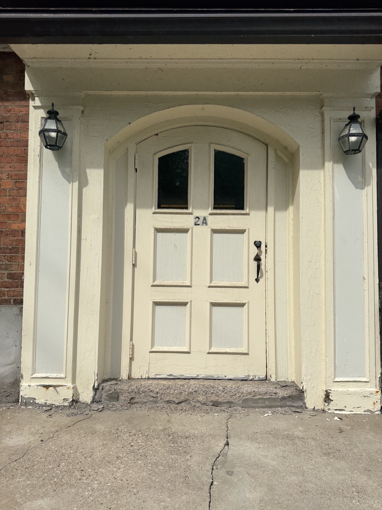 Historic wood entrance door: Existing condition